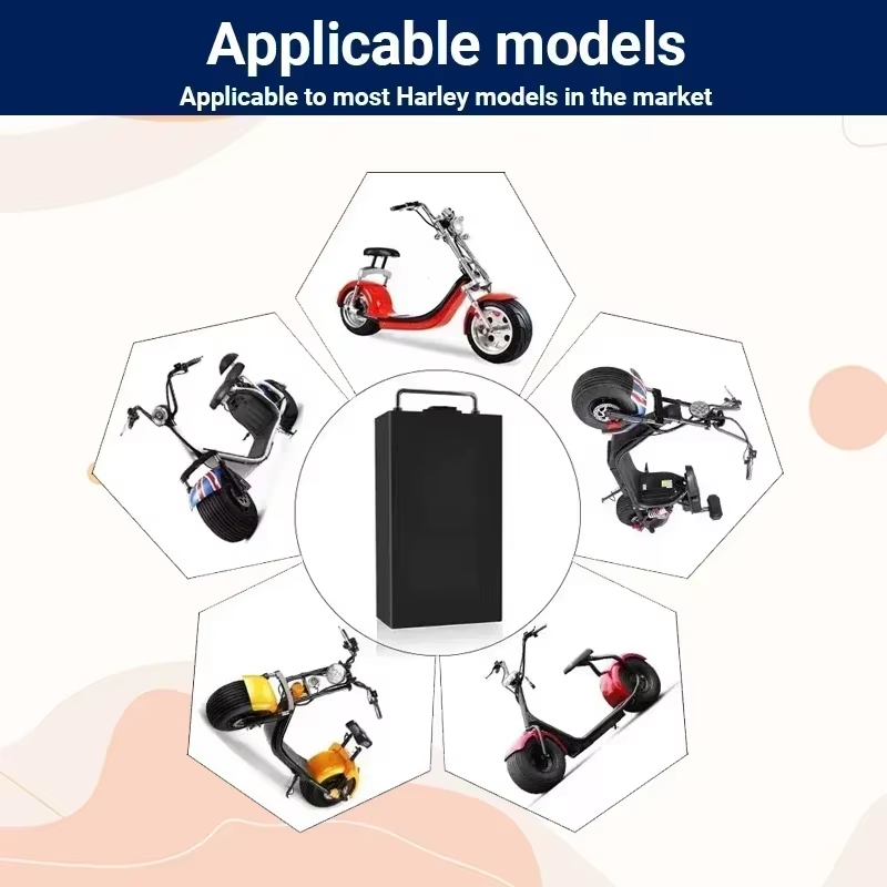 할리 전기 오토바이용 배터리, 60V, 20Ah/30A - 60V 30Ah Electric Scooter Battery 리뷰 및 가격